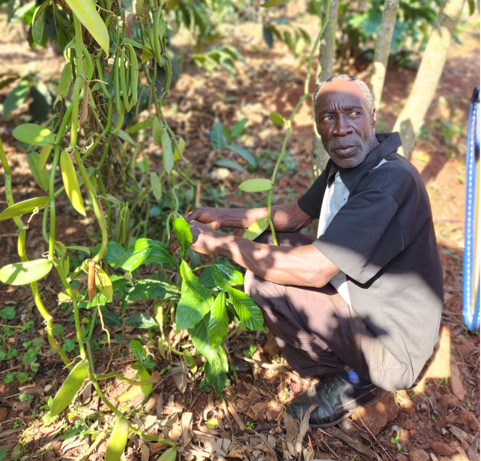Farmer in the field